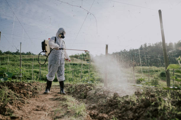 Best Mosquito Control Services  in Fmington, AR