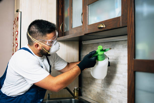 Best Wildlife Control Services  in Fmington, AR