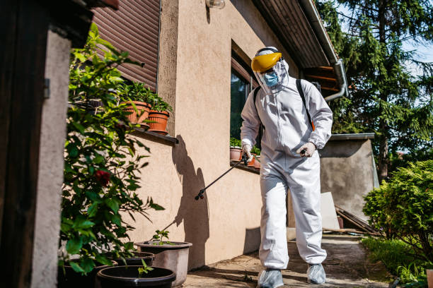 Best Pest Removal Services  in Fmington, AR