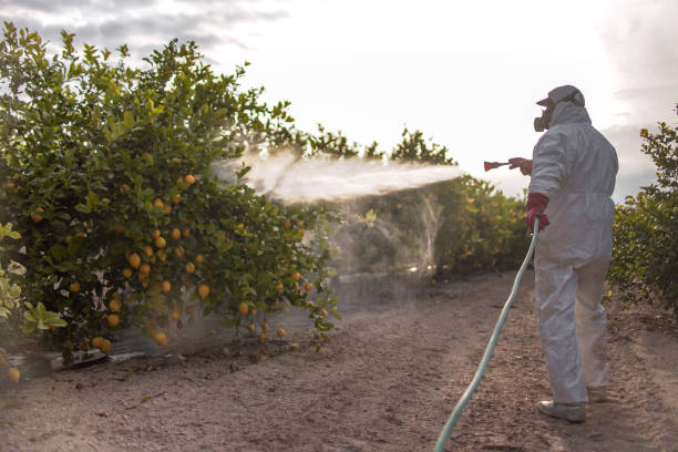 Best Best Pest Control Companies  in Fmington, AR