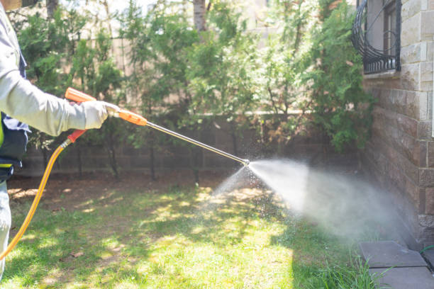 Professional Pest Control in Farmington, AR
