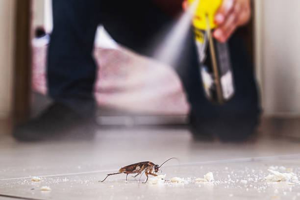 Best Pest Inspection Near Me  in Fmington, AR