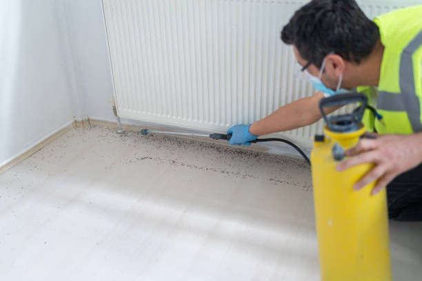 Best Pest Control Treatment  in Fmington, AR
