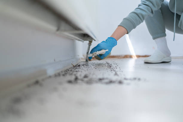 Best Affordable Pest Control Services  in Fmington, AR