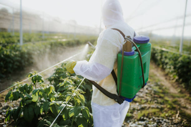 Best Bed Bug Extermination  in Fmington, AR